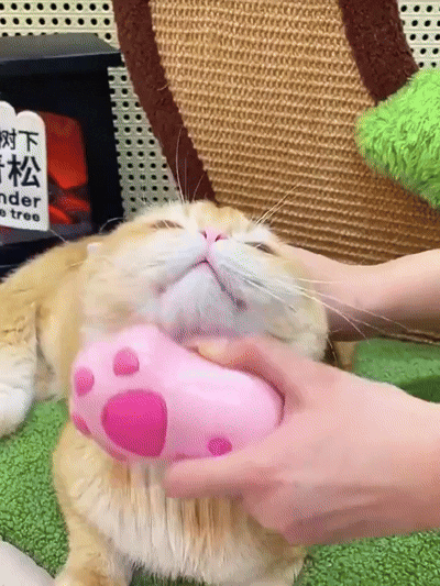 3-in-1 Steamy Pet Brush